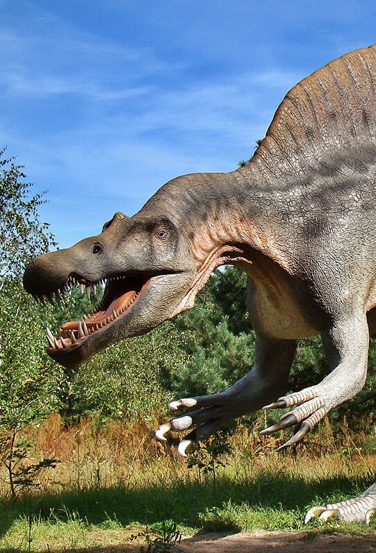 Lebensgroße Dinosaurier-Nachbildung eines Spinosaurus mit geöffnetem Maul im Familien-Freizeitpark Tolk-Schau