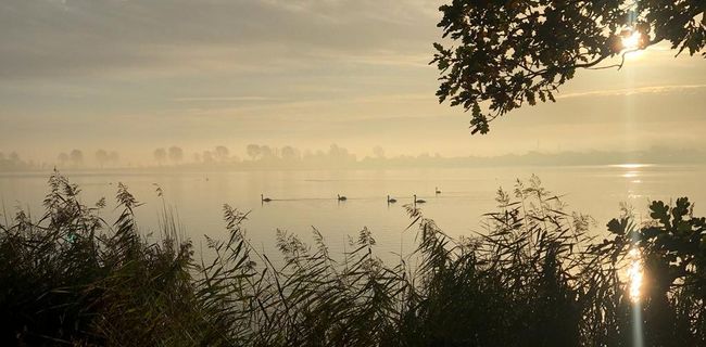 Sonnenaufgang am Privatstrand an der Schlei