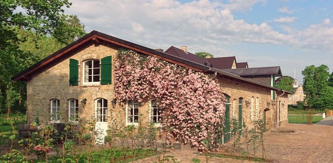 Ferienwohnung Alte Tischlerei auf Gut Buckhagen 