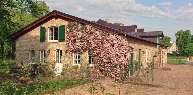 Ferienwohnung Alte Tischlerei auf Gut Buckhagen 