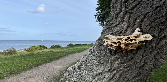 Bild aus der Umgebung