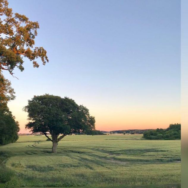Blick über Feld am Gutshof