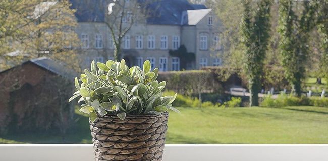 Blick aus der Ferienwohnung auf das Gutshaus an der Schlei bei Kappeln