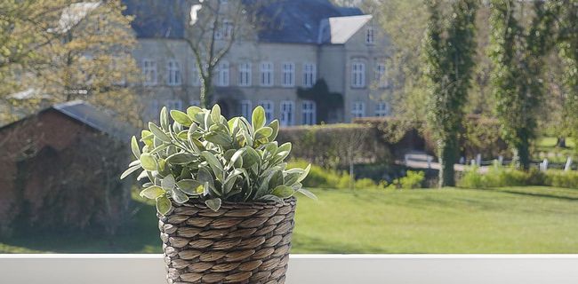 Blick aus der Ferienwohnung auf das Gutshaus an der Schlei bei Kappeln