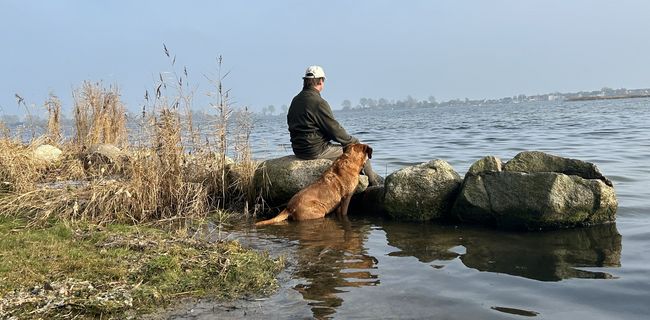 Hundefreund mit Blick auf Maasholm