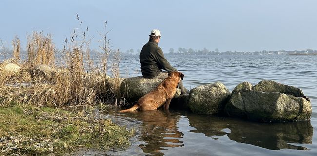 Hundefreund mit Blick auf Maasholm