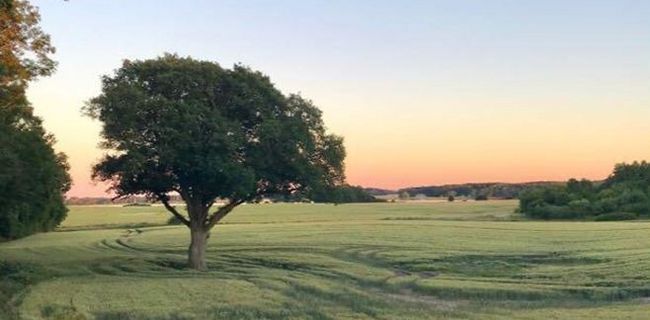 Blick über Feld am Gutshof