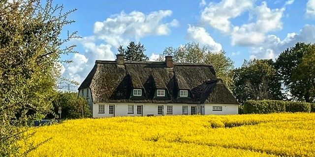 Ferienwohnung Ostsee Kappeln Schlei | Gut Buckhagen