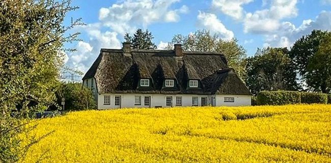 Ferienwohnung Ostsee Kappeln Schlei | Gut Buckhagen