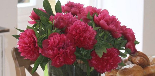 Blumen zum Frühstück in Ferienwohnung 